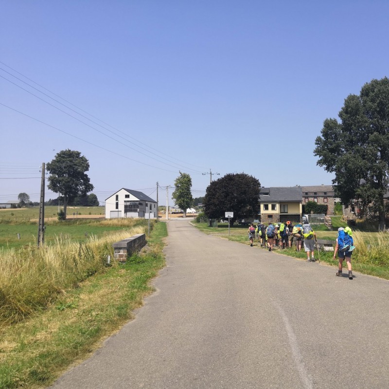 wolven groepskamp 2019